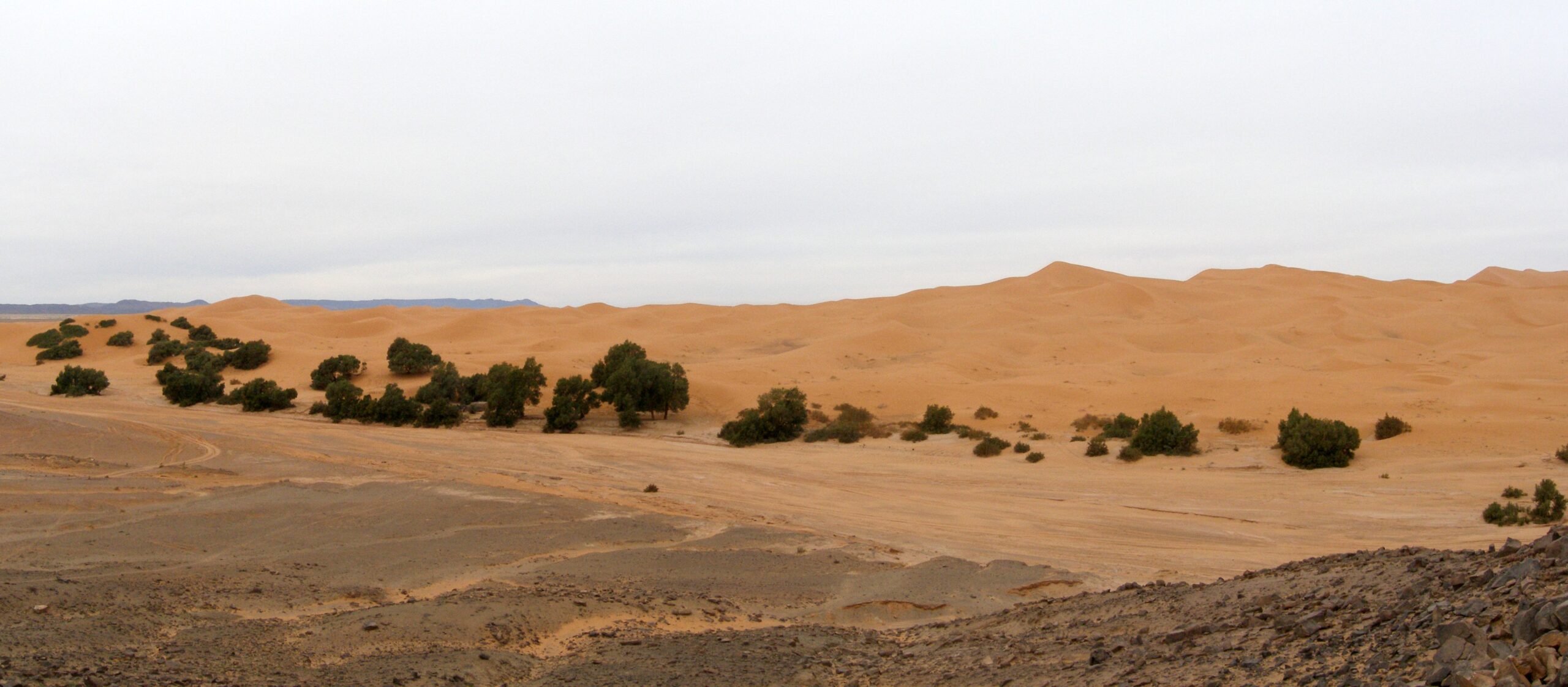 3-Day Morocco Tour from Errachidia to Fes