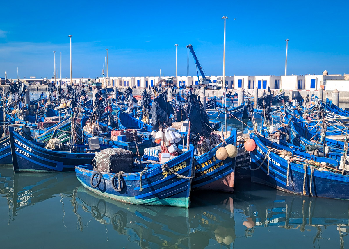 14-Day Grand Morocco Tour from Casablanca