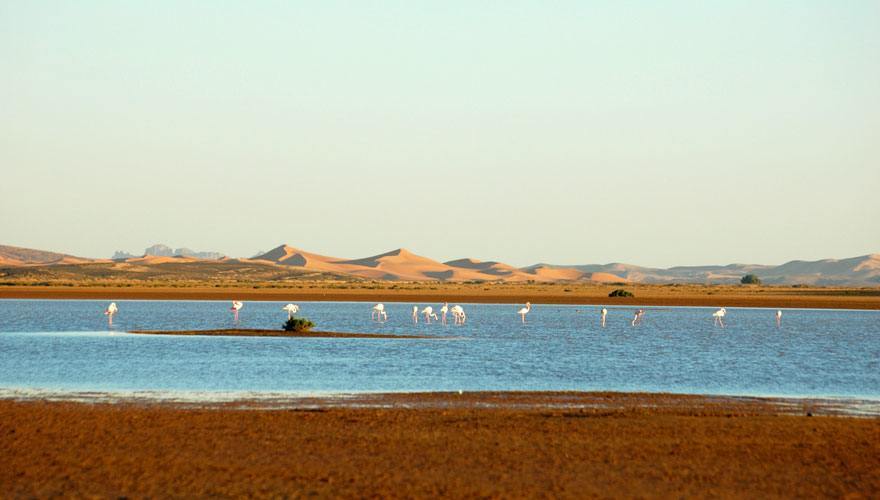 10-Day Morocco Tour from Marrakech