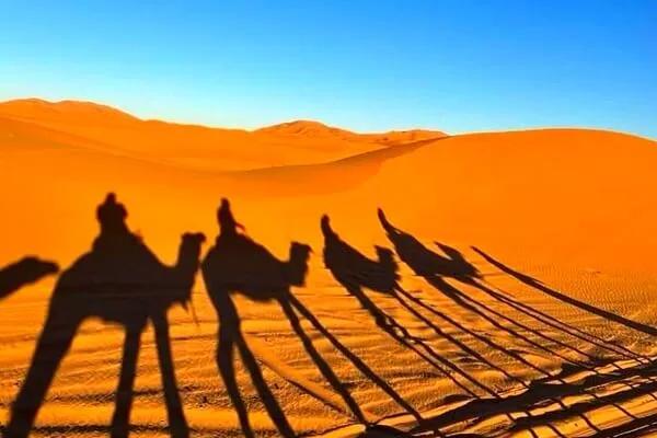 5 Beautiful Marrakech To Sahara Tour Ideas